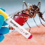 Jalisco en alerta por aumento en casos de dengue