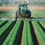 México apuesta al crecimiento agroindustrial del sur-sureste del país