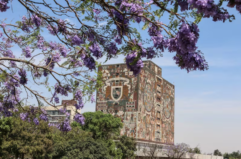 UNAM mantiene calificación perfecta (10/10) desde 2025, liderando tanto percepción académica como reconocimiento global de sus egresados.