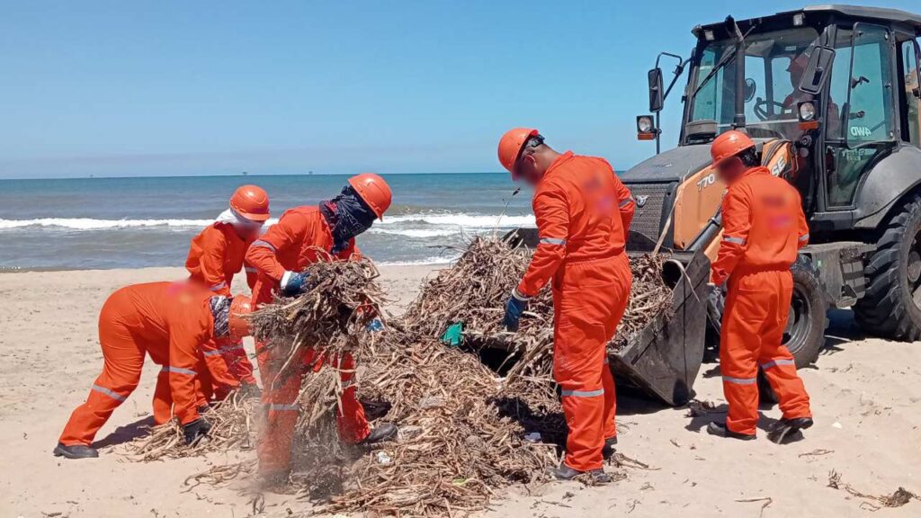 Autoridades limpian playas y buscan contener daños al ecosistema